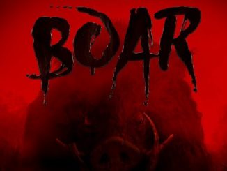Boar 2018 English 720P | 480p BDRip x264 AAc 800MB | 300MB