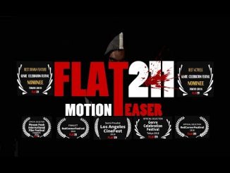 Flat 211 (2017) 720p Hindi HEVC WEB-HDRip x265 – 500 MB