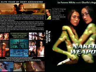 Naked Weapon (2002) 720p | 480p BRRip [Dual-Audio][English-Hindi] x264 740MB | 300MB