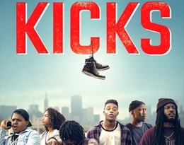 Kicks (2016) 720p BluRay Dual Audio [Hindi-Eng] x264 880MB