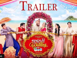 Gujarati Wedding in Goa (2018) Gujarati 720p HEVC WEB-HDRip x265 AAC DD 2.0 – 650 MB