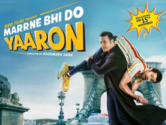 Marne Bhi Do Yaaron (2019) Hindi 720p HEVC WEB-HDRip x265 AAC DD 2.0 – 600 MB