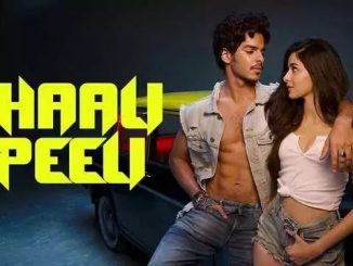 Khaali Peeli (2020) Hindi 720p HEVC WEB-HDRip x265 AAC DD 2.0 Esubs – 600 MB