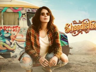 Shaadisthan (2021) Hindi 720p HEVC WEB-HDRip x265 AAC DD 2.0 Esubs – 450 MB