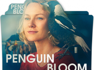 Penguin Bloom (2020) English 720p | 480p BluRay x264 AAC DD 2.0 Esubs – 800MB | 400MB