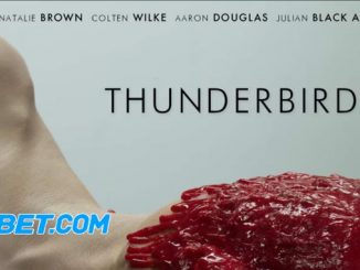 Thunderbird (2021) Hindi (Fan DUB) 720p HDRip x264 – 850 MB