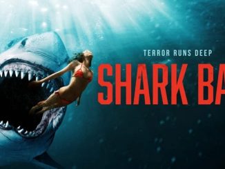 Shark Bait (2022) English 720p | 480p WEB-HDRip x264 AAC DD2.0 ESubs – 700MB | 250MB